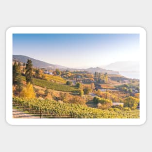 Naramata Wine Region Autumn Landscape Panorama Sticker